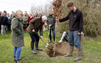 Celebrating 10 Million Trees: A Landmark Moment for the National Forest